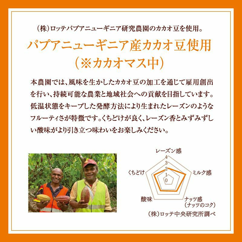 紀ノ国屋 贅沢なチョコレート & まとまる保冷バッグセット（マロン